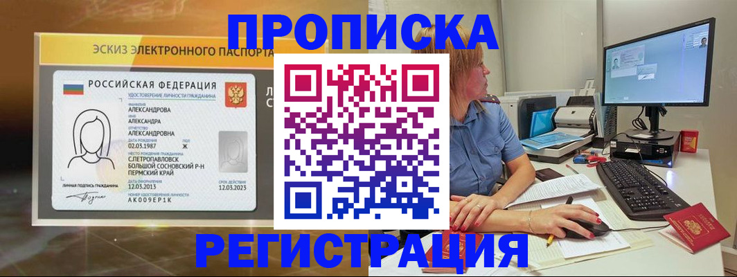 прописка 2025 в Павловске